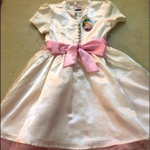 Disney Store Exclusive Girl’s Princess Dress